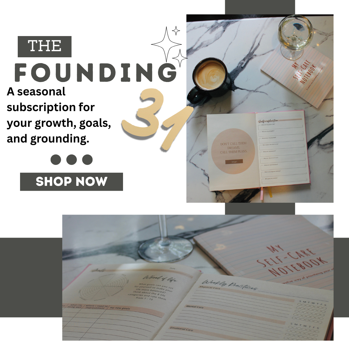 Founding 31: Journal Club