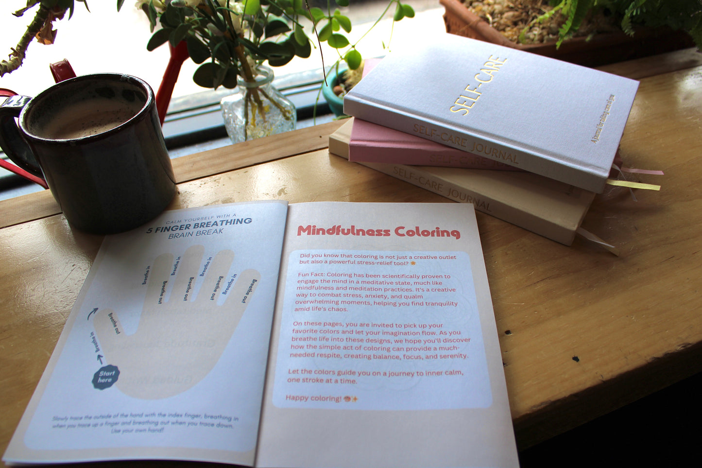 My Mindfulness Notebook